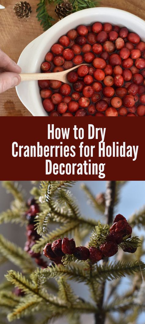 The easy way to dry cranberries for decorating during the holiday. Simple festive holiday decorating ideas. Cranberry Decorations Christmas, Dry Cranberries In Oven, Orange Cranberry Christmas Decor, Crafts With Cranberries, Cranberry Wreath Diy, How To Dry Cranberries For Decoration, Drying Cranberries In Oven, Cranberry Decor Christmas, Decorate With Cranberries