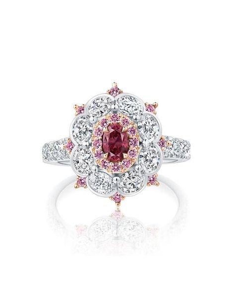 Argyle Pink Diamonds™ on Instagram: "From ochre-rich earth, a fleeting moment of fervent colour, will reign supreme for eternity. Argyle Pink Diamonds Icon Partner™ @calleijajewels immortalises the extraordinary with the Carmesi ring.  Featuring a 0.31ct Fancy Red Oval - one of only thirty five Fancy Red gems offered in the history of the famed Argyle Pink Diamonds Signature Tender™ - this rarest of hues is framed by 0.23ct of brilliant cut Argyle Pink Diamonds™ and a further 1.89ct of brilliant white diamonds, set in platinum and 18ct rose gold.

#argylepinkdiamonds #beyondrare" Fleeting Moment, Red Gems, Diamond Icon, Argyle Pink Diamonds, Pink Diamonds, Colour Light, Pink Diamond, White Diamonds, Reign