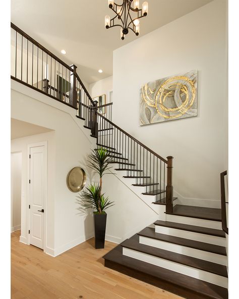 Stairs And Floor Different Color, Light Wood Floors Dark Stairs, Dark Staircase Light Floors, Dark Wood Staircase Light Floors, Suburban Staircase, Black Stairs With Light Wood Floors, Light Floors Dark Staircase, Light Floor Dark Stairs, Light Wood Floors Dark Stair Railing