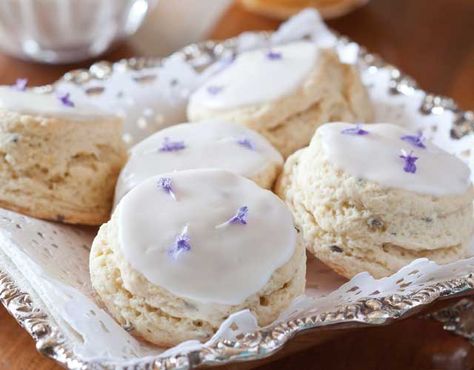 Your guests will feel like royalty when you present these Lavender Cream Scones, garnished with fresh lavender flowers for an air of elegance. Confectioners Sugar Glaze, Cream Scones Recipe, Tea Sandwich, Lavender Cream, Lavender Recipes, Cream Scones, Fresh Lavender, Scone Recipe, Lavender Flowers