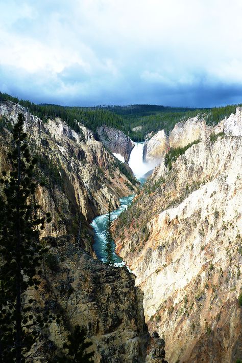 View from Artist Point | Grand Canyon of the Yellowstone, Yellowstone National Park Yellowstone Trip, Oregon Road Trip, Yellowstone Park, Vantage Point, Amazing Pics, Off The Beaten Path, National Treasure, Yellowstone National, Yellowstone National Park