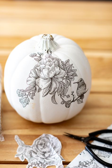 Black and White Print Decoupage Pumpkin Pumpkin Decopodge, White Pumpkin Decorating Ideas, Pumpkin Decoupage, Decoupage Pumpkins, Diy Pumpkins Crafts, Hutch Decor, Calendar Craft, Spring Easter Crafts, Pumpkin Fall Decor