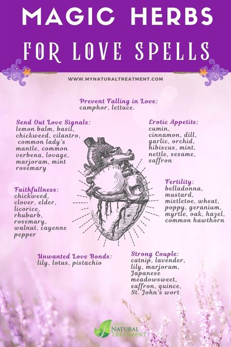 Discover 15 Best Herbs for Love Spells and magic recipes that you can do to heal heartache, attract love and kindness and expell love. Herbs For Love Spells, Herbs For Love, Real Love Spells, Potions Recipes, Easy Love Spells, Magickal Herbs, Witch Herbs, Spells For Beginners, Jar Spells