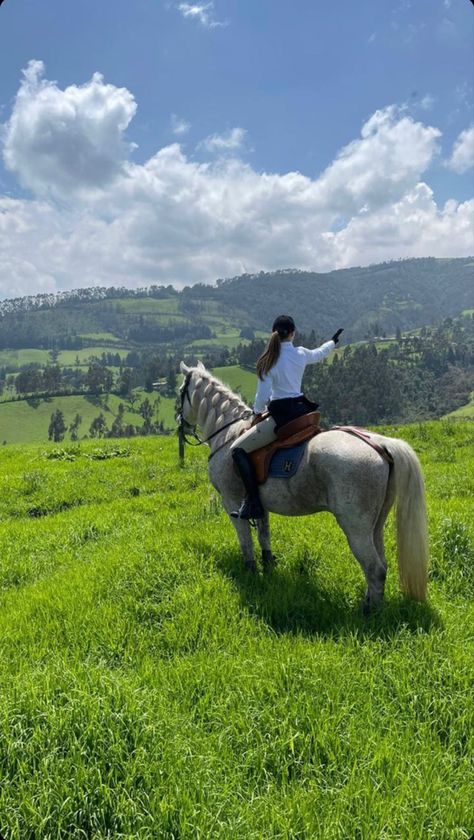 White Horse, Horseback Riding, Old Money, The Back, Lush, A Woman, Money, Green, Blue