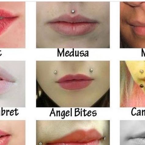 OUFER BODY JEWELRY on Instagram: "What would you get for your next piercing? 👄👄 😘😘Lern more @ouferbodyjewelry #ouferbodyjewelry #bodypiercing #lippiercing #piercinglover #piercedgirl #medusa #verticallabret #piercingknowledge" Face Piercings Women Lips, Ashley Lip Piercing Aesthetic, Upper Lip Piercing Medusa, Tiny Medusa Piercing, Inside Mouth Piercings, Raccoon Bites Piercing, Bottom Lip Piercing Middle, Medusa Piercing Small Lips, Medusa And Labret Piercing