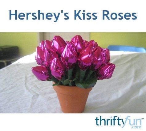 Hershey Kiss Flowers, Hershey Kiss Roses, Hershey Kisses Gifts, Hershey Kisses Crafts, Hershey Kiss Valentine, Hersheys Kisses, Chocolate Bouquet Diy, Candy Bouquet Diy, Candy Roses