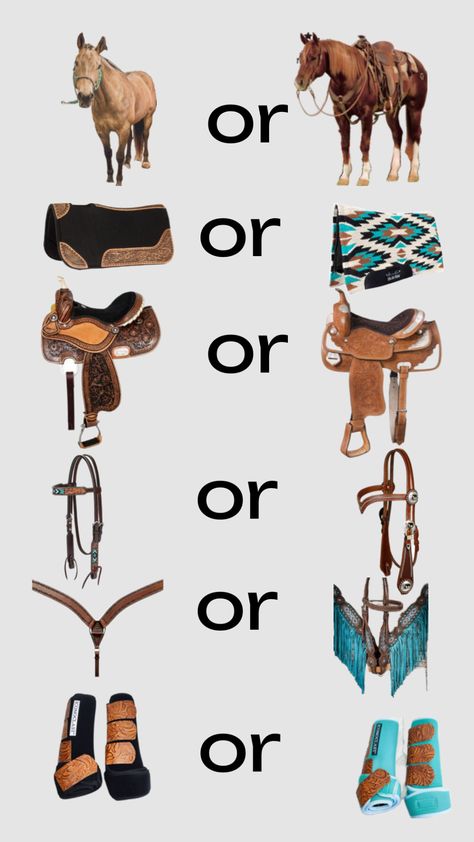 remix this or that #western #country #horse #rodeo #barrel racing Rodeo Horses Barrels, Western Riding Tack, Rodeo Barrel Racing, Barrel Racing Tack Rodeo, Western Horse Riding, Horse Tack Diy, Horse Rodeo, Barrel Racing Saddles, Horse Facts