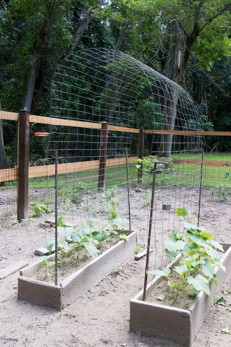 Building the Perfect Garden Archway Trellis | https://merrypad.com/2018/03/05/diy-trellis-tunnel-for-kids/ Diy Trellis Archway, Archway Trellis, Trellis Archway, Bean Trellis, Garden Archway, Vertical Vegetable Gardens, Gutter Garden, Cucumber Trellis, Diy Garden Trellis