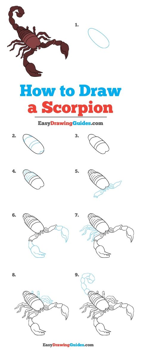 How to Draw a Scorpion - Really Easy Drawing Tutorial How To Draw Scorpion Step By Step, How To Draw Scorpion, Easy Scorpion Drawing, How To Draw A Scorpion, Scorpion Craft, Scorpion Painting, Drawing Scorpion, Scorpion Drawing, Easy Drawing Guides