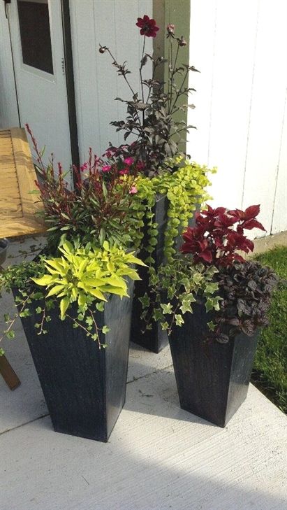 Diy Planters Outdoor, Outdoor Planter Boxes, Large Outdoor Planters, Container Garden Design, Potted Plants Outdoor, Container Gardening Flowers, Flower Pots Outdoor, Tall Planters, Outdoor Pots