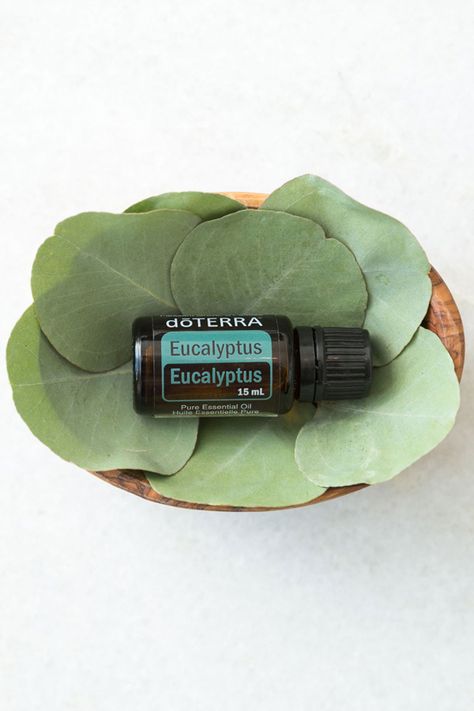 Eucalyptus Oil | dōTERRA Essential Oils Adaptive Doterra, Doterra Eucalyptus, Eucalyptus Radiata, Chemical Structure, Eucalyptus Oil, Eucalyptus Essential Oil, Doterra Essential Oils, Something Went Wrong, Pure Essential Oils