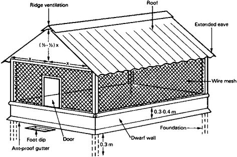 Chapter 1 - Egg production Poultry Farm Design Ideas, Simple Poultry House Design, Broiler Chicken House Design, Poultry Farm Design Layout, Geese Coop, Chicken House Ideas Buildings, Poultry House Design, Chicken House Design, Manufacturing Factory Design