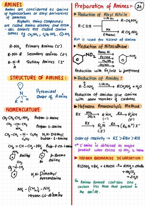 Amines Class 12 Notes, Amines Notes, Organic Chemistry Notes Cheat Sheets, Organic Chemistry Cheat Sheet Class 12, Organic Chemistry Notes Class 12, Amines Class 12, Chemistry Flashcards, Physics Cheat Sheet, Organic Chemistry Cheat Sheet