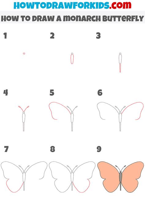 How To Draw A Monarch Butterfly Easy, Step By Step Small Drawings, Butterfly Drawing Steps, How To Draw Buterfluffy, How To Draw Simple Butterfly, Butterfly Painting Easy Step By Step, Butterfly Drawing Tutorial Step By Step, Basic Butterfly Drawing, How To Draw A Butterfly For Kids