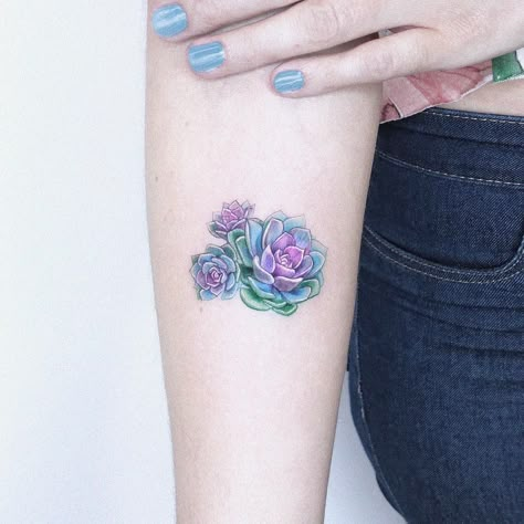 Kozo_tattoo on Instagram: “succulents ✨” Small Succulent Tattoo, Kozo Tattoo, Succulent Tattoo, Girl Back Tattoos, Mother Daughter Tattoos, Knee Tattoo, Up Tattoos, Tattoos For Daughters, Friend Tattoos