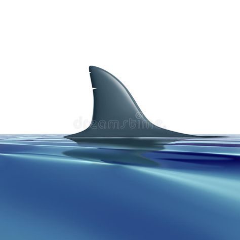 Risk. Symbol with shark fin above water representing future danger and from pre #Sponsored , #AD, #Affiliate, #shark, #Risk, #danger, #fin Zen Tangles, Shark Fin, Design Patterns, Pattern Drawing, Stock Illustration, Zen, Pattern Design, Royalty Free Stock Photos, Art Design