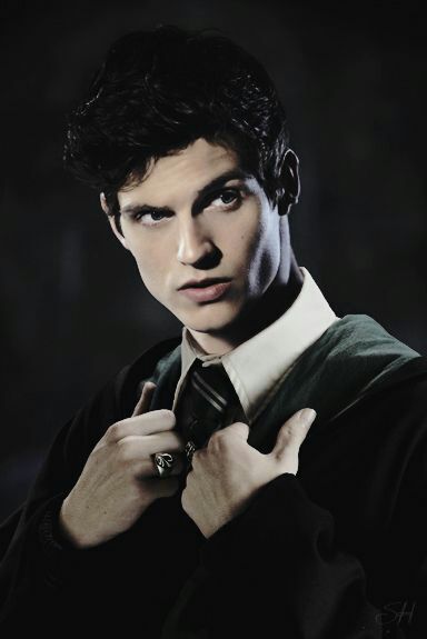 Harry Potter Rpg, Theo Nott, Hogwarts Shifting, Maxon Schreave, Shifting To Hogwarts, Theodore Nott, Harry Potter Oc, Daniel Sharman