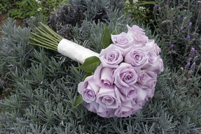 Sterling roses Purple Rose Bouquet Wedding, Lavender And White Roses, White Rose And Purple Bouquet, Lavender And White Rose Bouquet, Sterling Roses, Lavender Rose Bouquet, Purple Bridal Bouquet, Chelsea Wedding, Fresh Flower Bouquets