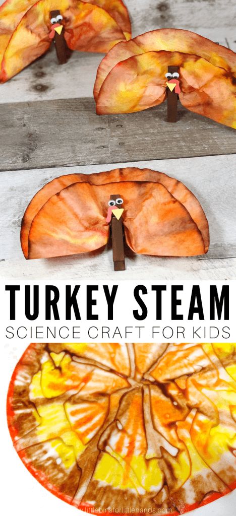 Coffee Filter Turkey, Turkey Science, Thanksgiving Science, Craft For Thanksgiving, Turkey Coffee, Preschool Thanksgiving, Holiday Stem, Thanksgiving Turkeys, Thanksgiving Turkey Craft