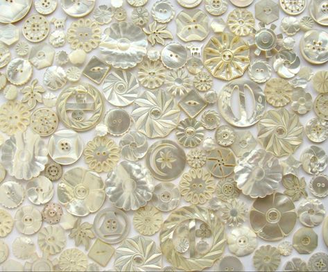 A large grouping of delicate and pretty, carved shell buttons in creamy, white, pearly colors. Pearl Aesthetic, Shell Buttons, Pearl Shell, Mother Of Pearl Buttons, Pearl Buttons, Vintage Buttons, Button Detail, Mother Of Pearl, Shells