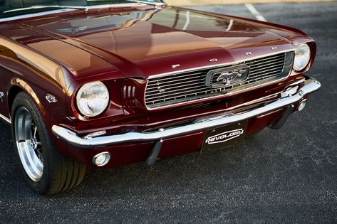 This is a 1966 Mustang Convertible in Vintage Burgundy Metallic. It has Black Nappa leather interior. This car has 17x8 Magnum 500 wheels. It features a 460hp Ford 5.0L Ti-VCT Coyote DOHC V8 engine and a 10R80 10-speed electronically controlled automatic transmission. #mustang #shelby #classicmustang #classicshelby #carinspiration 1969 Cherry Red Mustang, Red Mustang 1969, Burgundy Mustang, Mustang Red Interior, Cherry Red Mustang, Mustang Aesthetic, Valentina Core, Aesthetic 2025, Carley Fortune