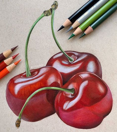 9,027 Likes, 126 Comments - 𝐳𝐚𝐫𝐚 🕊 (@artbyzxra) on Instagram: “Cherriess :) 🍒” Pencil Colour Painting, Fruit Sketch, Fruit Art Drawings, Prismacolor Art, Fruits Drawing, Colored Pencil Artwork, Object Drawing, Beauty Art Drawings, Writing Art