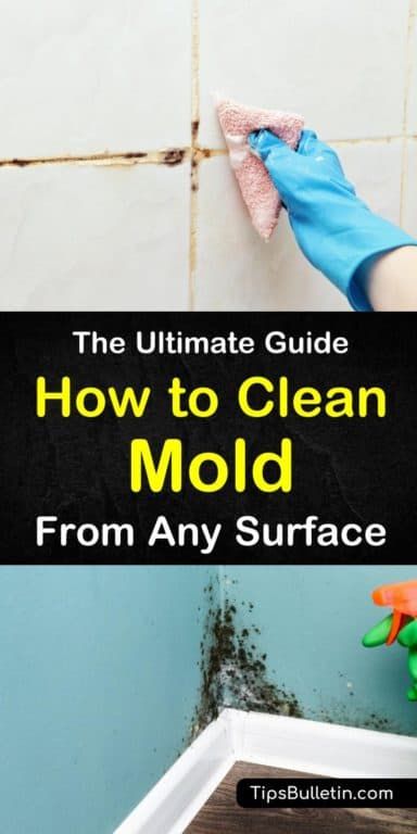 How To Clean Mold, Cleaning Black Mold, Cleaning Corner, Kill Black Mold, Black Mold Removal, Mold Cleaner, Clean Black Mold, Mold Smell, Kill Mold