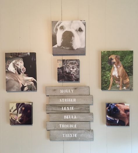 Our photo wall . Beloved dogs , past and present, now have a special place in our home. Pet Memorial Wall Ideas, Dog Memorial Wall Ideas, Dog Picture Wall Ideas, Dog Photo Wall Ideas, Pet Photo Wall Ideas, Pet Photo Wall, Pet Picture Wall Ideas, Memorial Wall In Home Diy, Pet Memorial Ideas Dogs