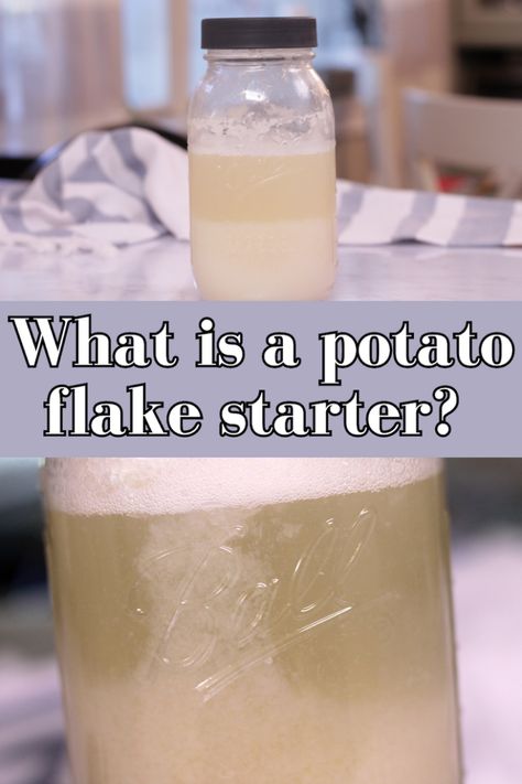 What is a potato flake starter? - Little Tennessee Home Potato Flakes Bread Recipe, Sourdough Starter Recipe With Potato Flakes, Potato Flake Starter, Potato Flake Sourdough Starter, Sour Dough Bread Starter Recipe, Dough Starter Recipe, Starter Cultures, Dough Starter, Instant Potatoes