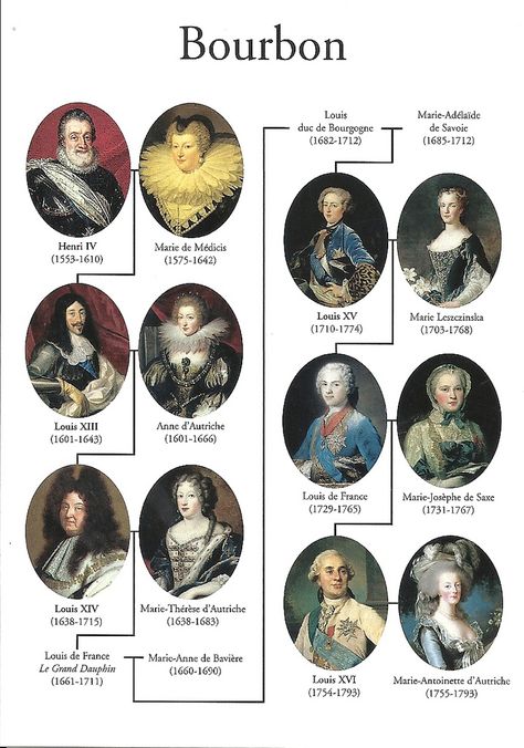 Bourbon Burgoyne Surrounded, Habsburg Family Tree, French Ancestry, Romanov Family Tree, British Monarchy Family Tree, Victoria Family Tree, Ap European History, Queen Victoria Family Tree, Royal Lineage