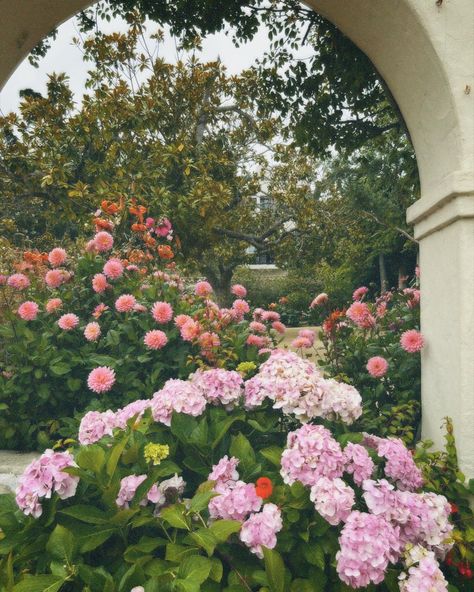 flower garden photographed with a CPM35 camera, location: monterey, ca

flowers, garden, vintage camera, vintage soft core, grainy vintage photos Aesthetic Floral, Floral Photo, Vintage Aesthetic, Flower Garden, Floral Wreath, Flowers, Floral, Quick Saves