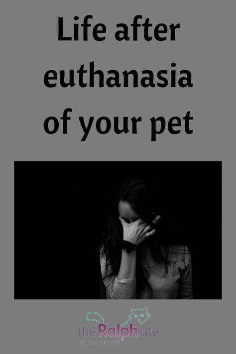 Life after euthanasia for bereaved pet carers | The Ralph Site Blog Euthanasia Quotes Animals, Saying Goodbye To A Pet Quotes, Loosing Your Pet Quotes, Rip Pet Quotes Cat, Pet Euthanasia Quotes, Grieve Loss Of Pet, Pet Grievance Quotes, Quotes About Loosing Your Dog, Griefing Your Pet Quotes