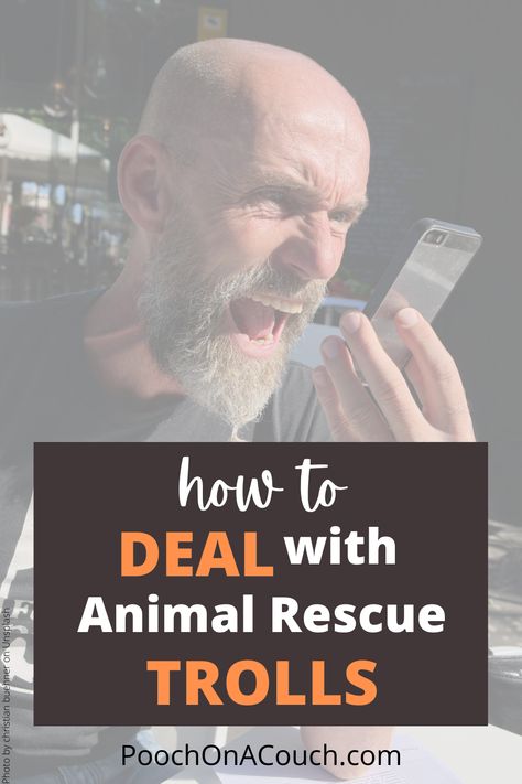 How do you know if you have an animal rescue troll or a disgrunteled or concerned member of your community? I'll show you the difference and help you develop a plan to manage both on your social media pages. Animal Shelter Fundraiser, Animal Rescue Ideas, Manage Social Media, Mom Crafts, Christian Photos, Photo U, Foster Dog, Pack Leader, Moms Crafts