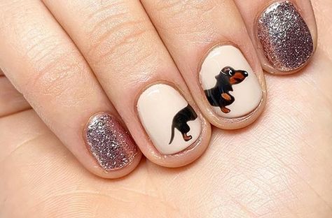 14 Dachshund Manicure Ideas For True Breed Lovers Dog Nail Art, Short Nail Manicure, Colorful Hairstyles, Boho Nails, Red Manicure, Pink Manicure, Popular Dog Breeds, Most Popular Dog Breeds, Animal Nails