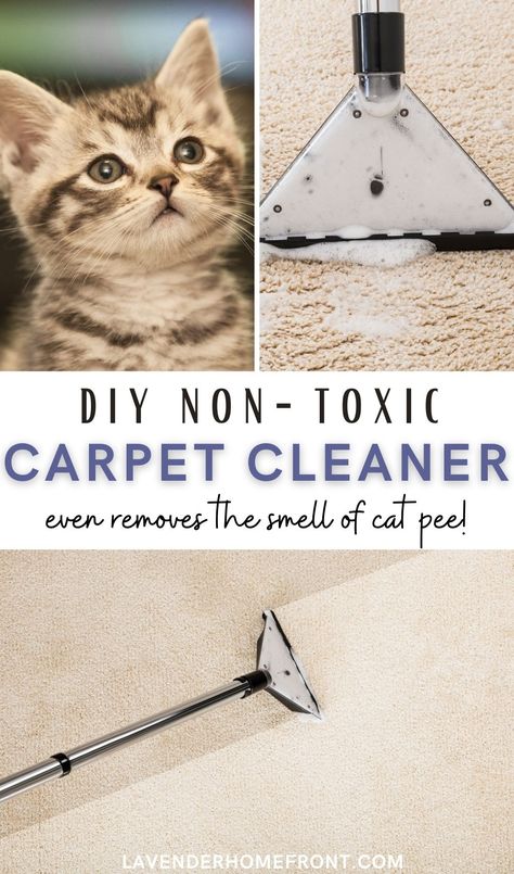 homemade non-toxic carpet cleaner cleaning dirty carpet Cat Urine Remover, Cat Urine Smells, Carpet Cleaner Solution, Carpet And Upholstery Cleaner, Carpet Cleaner Homemade, Urine Smells, Dog Urine, Diy Carpet Cleaner, Carpet Cleaning Solution