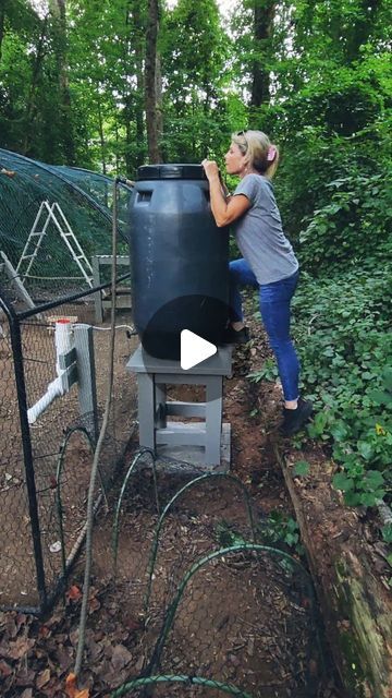 Katie Williams on Instagram: "We converted our @thechickenfountain from the garden hose to a rain barrel & it was so easy! The @thechickenfountain is so versatile, if you need a low maintenence watering system check it out! #chickenfountain #chickens #rainbarrel #diy #chickenrun #chickentunnel" Chicken Watering System Diy, Chicken Coop Watering System, Rain Barrel Diy, Barnyard Chickens, Katie Williams, Chicken Watering System, Glitter Pens Art, Rain Barrel System, Barrel House