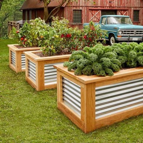 Pergola Modern, Cheap Raised Garden Beds, Raised Garden Bed Plans, Cedar Raised Garden Beds, Garden Boxes Raised, Building Raised Garden Beds, Metal Raised Garden Beds, Building A Raised Garden, Building A Pergola