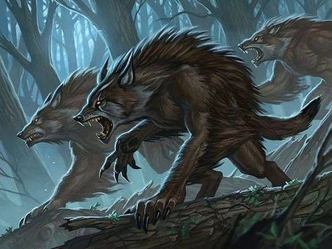 Werewolf Concept, Mtg Art, Werewolf Art, Vampires And Werewolves, Dungeons And Dragons Homebrew, Fantasy Monster, Wow Art, Wolf Art, 판타지 아트