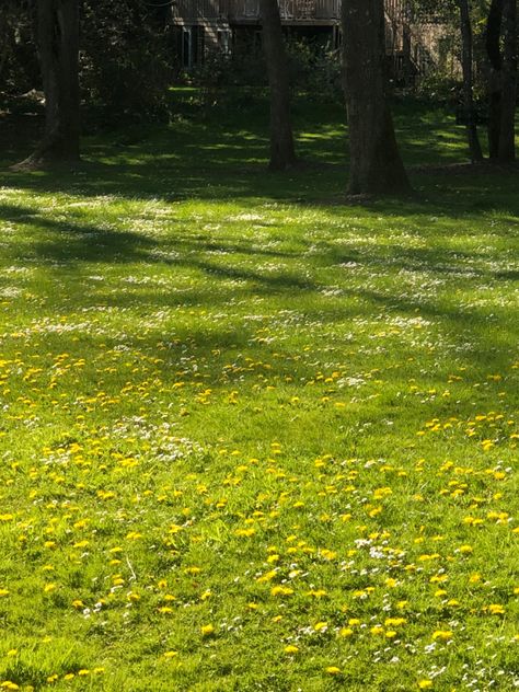 Green Yard Aesthetic, Cottage Core Background, Forest Path, Nature Aesthetic, Flowers Nature, Pretty Places, Green Aesthetic, Places Around The World, Photo Backgrounds