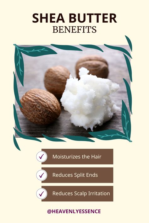 The benefits of Shea Butter for hair. Learn more through our latest blog post: #sheabutter #naturalhaircare #naturalhaircarejourney #healthynaturalhair #sheabutterforhair Shae Butter Benefits, Shea Butter Skin Benefits, Benefits Of Shea Butter For Hair, Benefits Of Shea Butter For Skin, Now Solutions Shea Butter, Shea Butter For Hair, Benefits Of Shea Butter, Shea Butter Benefits, Shea Butter Cream