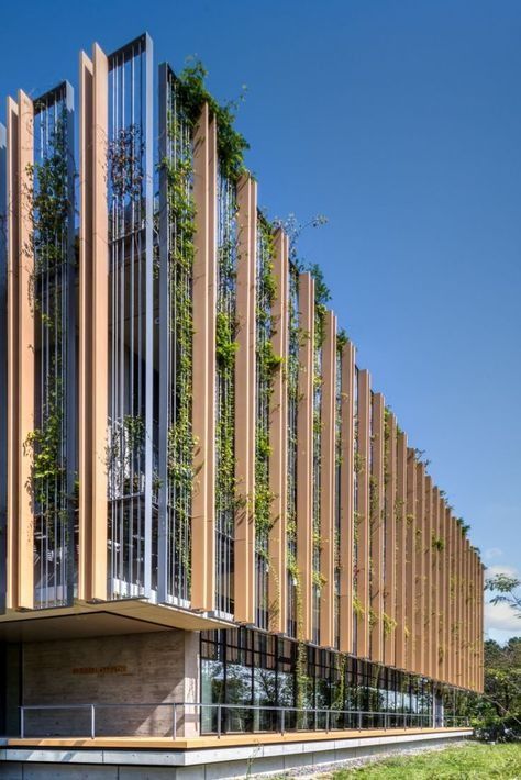 Parking Building, Building Skin, Wood Facade, Green Facade, Facade Architecture Design, Office Building Architecture, Wood Architecture, Industrial Architecture, Architecture Concept Drawings