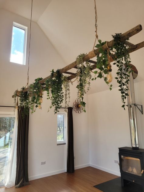 #naturalinteriordesign #hangingladder #hanginglightladder #hangingplantladder #woodburner #rustic #vintage #rustislights #eidsonbulbs #rusticladder #tomraffield #aramewalllight #walnut #modern #retreat #rest #naturallight #woodland #woodlandcentre #beechbraewoodlandcentre #scotland #natureurtures #beechbrae Indoor Plant Ceiling, Hanging Lamp With Plants, Hanging Ladder From Ceiling With Plants, Things Hanging From Ceiling, Ceiling Plant Hanger Ideas, Plant Area Indoor, Ceiling Plants Hanging, Hanging Ladder From Ceiling, Plant Ceiling Decor