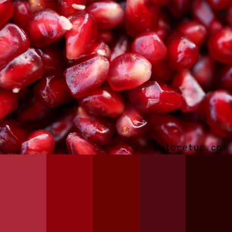 Pomegranate Seeds -   Pinks and reds from the pomegranate seeds create a beautiful monochrome palette  - Download the swatches now! Rgb Code, Scottish Cow, Monochrome Color Palette, Monochrome Palette, Vintage Light Bulbs, Red Colour Palette, Neon Painting, Red Pomegranate, Pomegranate Seeds