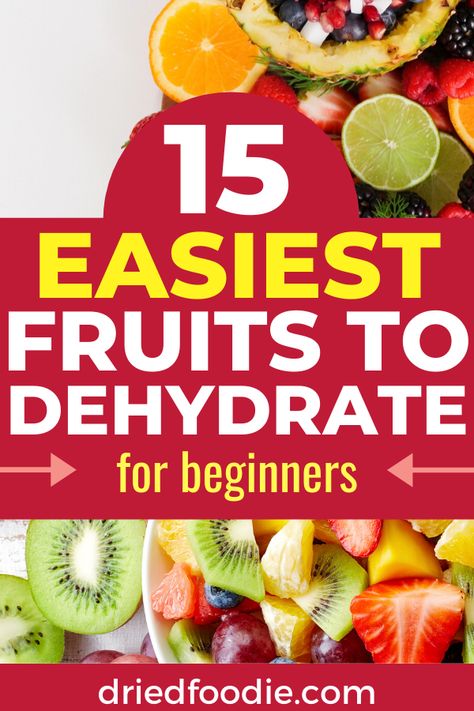 Infusing Alcohol, How To Dry Fruit, Dehydrator Recipes Fruit, Dehydrated Recipes, Dehydrating Recipes, Best Food Dehydrator, Fruit Wash, Canning Gifts, Dried Fruit Recipe