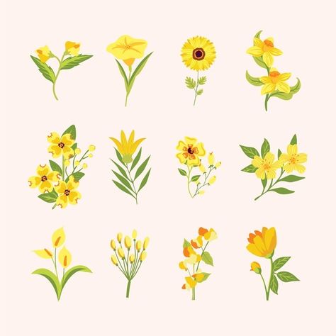 Yellow Flowers Drawing, Embroidered Socks, Flower Collection, Leaf Spring, Arte Floral, Spring Flower, Flat Illustration, Gouache Painting, Inspirational Tattoos