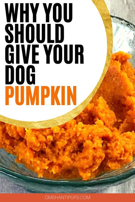 Pumpkin For Dogs, Can Dogs Eat Pumpkin, Foods Dogs Can Eat, Easy Dog Treat Recipes, Make Dog Food, Dog Biscuit Recipes, Dog Remedies, Easy Dog Treats, Healthy Dog Treats Homemade