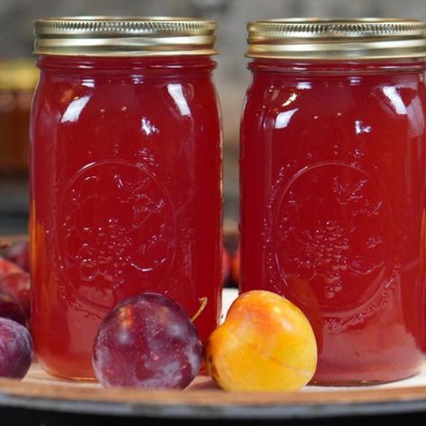 How to Can Plum Juice at Home Freezing Plums, Canning Plums, Steam Juicer, Canning For Beginners, How To Make Juice, Plum Butter, Food Storage Pantry, Plum Juice, Canned Plums