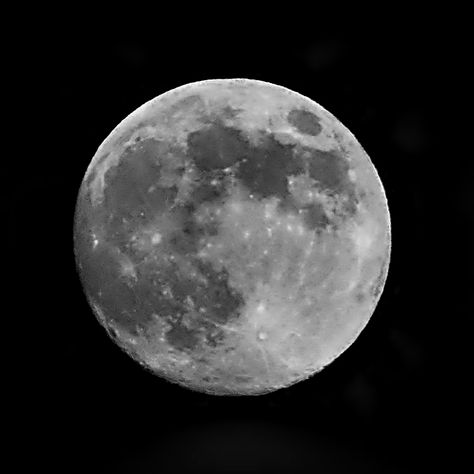 Full Moon Phase, Full Moon Phases, Fairbanks Alaska, Lunar Phase, Sky Photos, The Full Moon, Moon Phases, South Florida, Full Moon