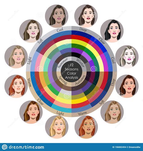 Types Of Color Palette, Color Analysis Wheel, Color Type Analysis, Color Palette Analysis, 12 Color Seasons, Face Color Palette, Color Analysis Palette, 12 Season Color Analysis, Season Color Analysis