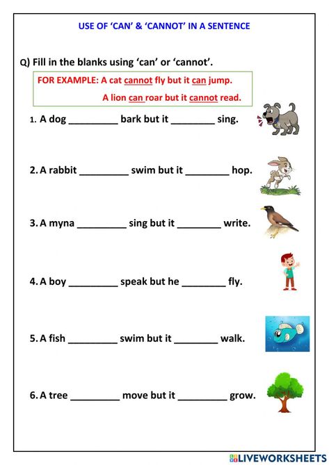 Use of can and cannot worksheet Can And Cannot Worksheet, Can Cannot Worksheet, Can And Can't Worksheet, Grade 2 English, Active And Passive Voice, Kids Worksheet, English Worksheets For Kids, Basic English, English For Kids